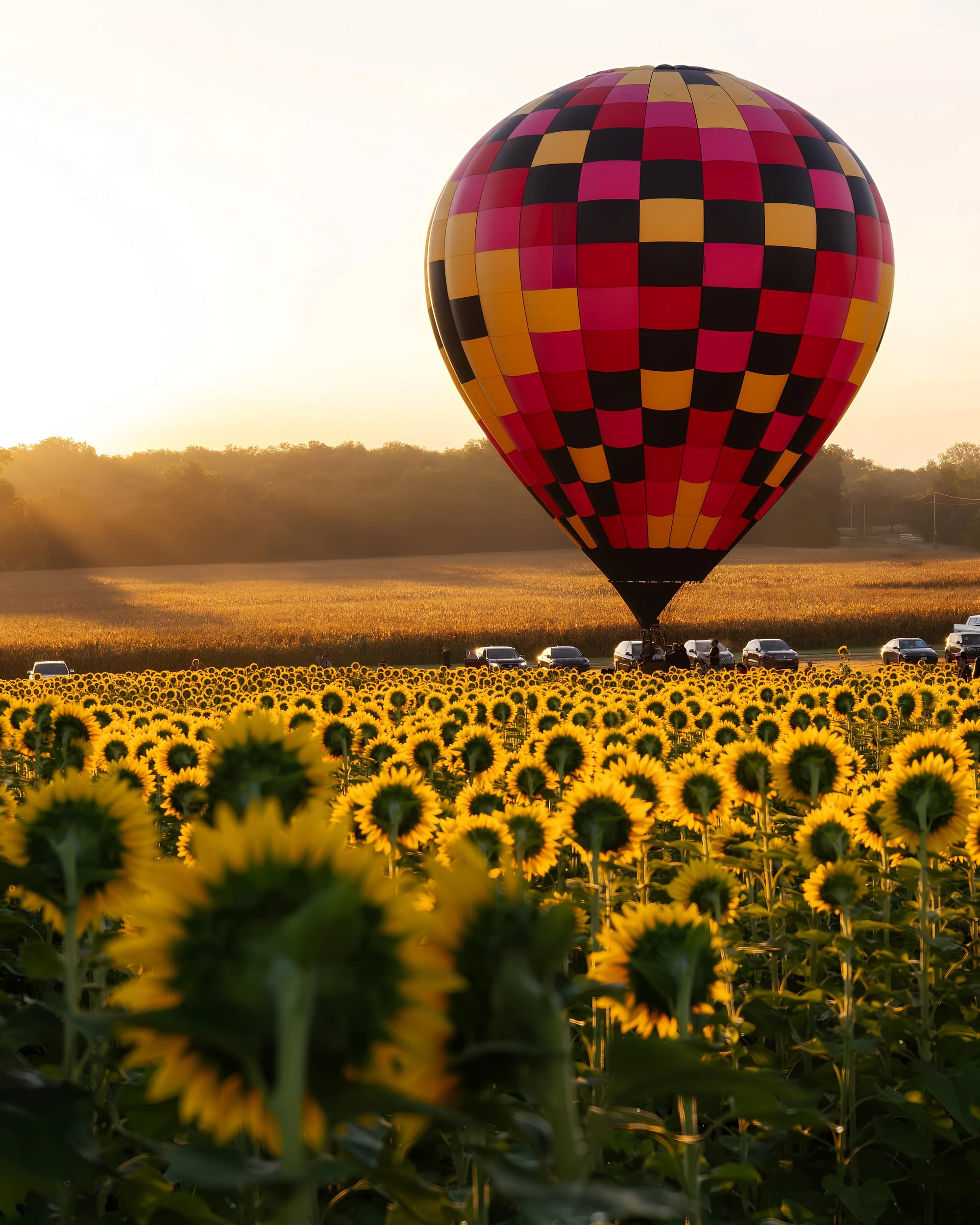Hot Air Balloon Ride